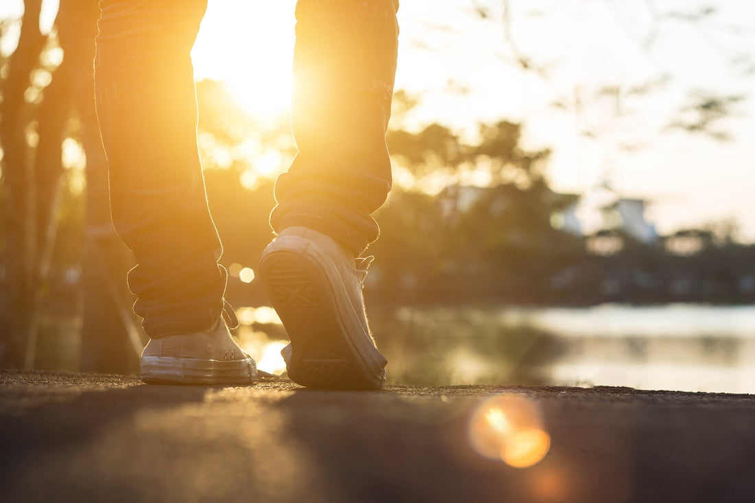 LIVING IN THE LIGHT