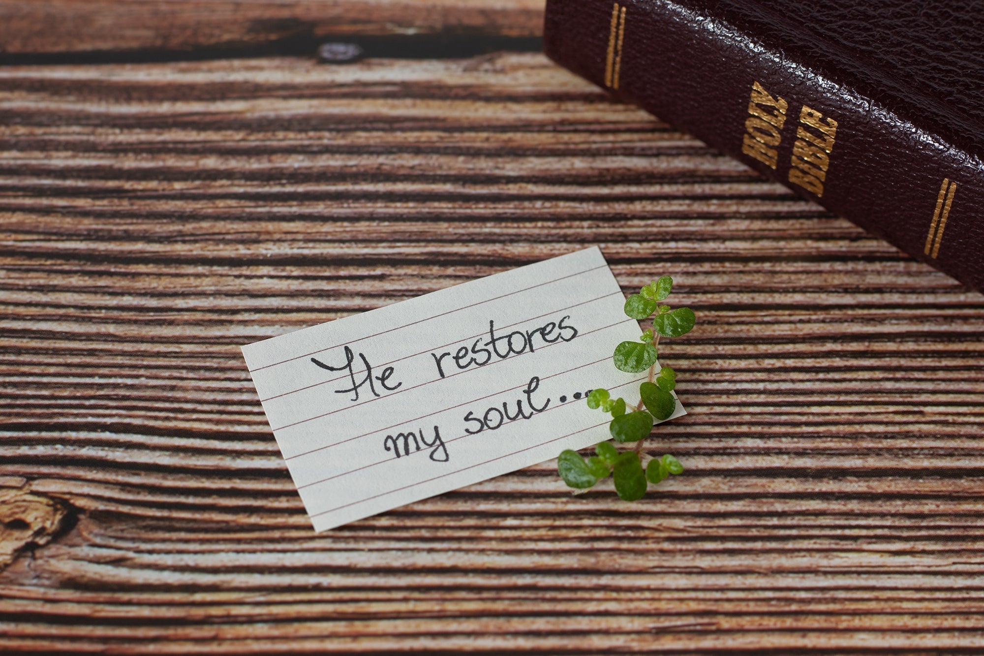 RESTORATION & RENEWAL